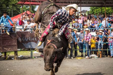 2000x2000-0-70-53cde0e91d7c9561bfe4d0e0fe0ce50f