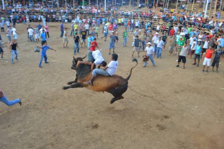 2000x2000-0-70-934f80fd6f88df785635bf601617f3df