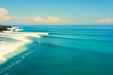 956150F8-5A35-4D4D-B697-B58C612B1240_1_201_a