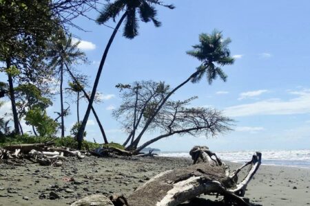 Casa Nosy Tsara vacation rental near Zancudo – Beach