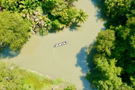 Screenshot Screenshot