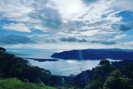 D2A1C6EF-C6EB-47B6-86BC-4584B06AC37F