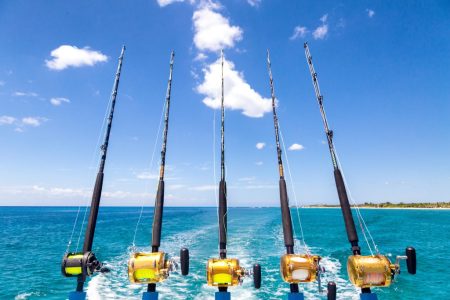 Golfito-Sport-Fishing-4-rods-and-reels-1024×683 Golfito-Sport-Fishing-4-rods-and-reels-1024x683