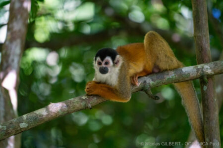 Costa Rica property tax guide