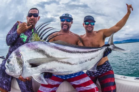 RF_13_1024x1024 RF_13_1024x1024