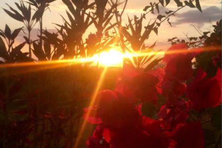 WhatsApp Image 2024-05-04 at 17.50.54