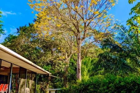 Casa Nosy Tsara vacation rental near Zancudo