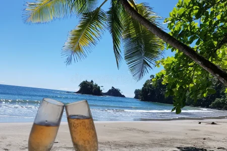 champagne-beach-one-white-sandy-beaches-panama-relaxing-enjoying-glass-105414000