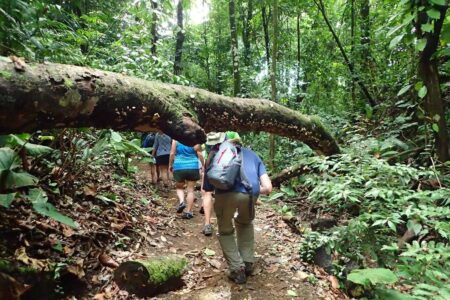 Activities in Pavones – Golfo dulce hike