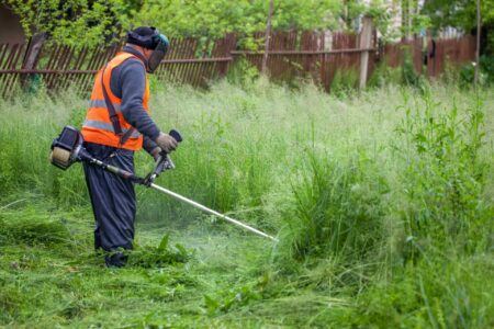 Home maintenance in Pavones – Guaraña
